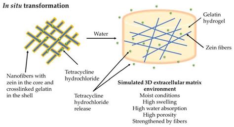 Edelmetaal-en Hydrogels: Een Duik in de Wereld van Elektrospun Nanovezels!