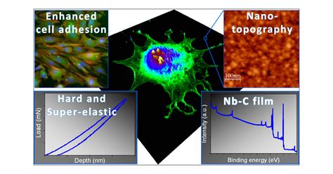 Nanoverbundmateriaal voor Verbeterde Biocompatibiliteit en Mechanische Eigenschappen!